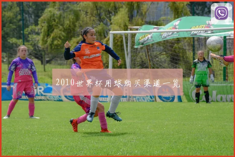 2010世界杯用球购买渠道一览
