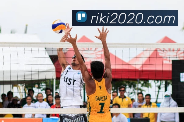 九州酷游ku官网平台生态图